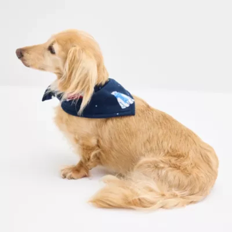 North Pole Trading Co. Polar Bear Dog Bandana