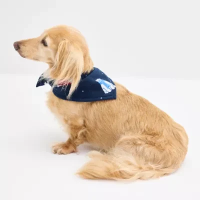 North Pole Trading Co. Polar Bear Dog Bandana
