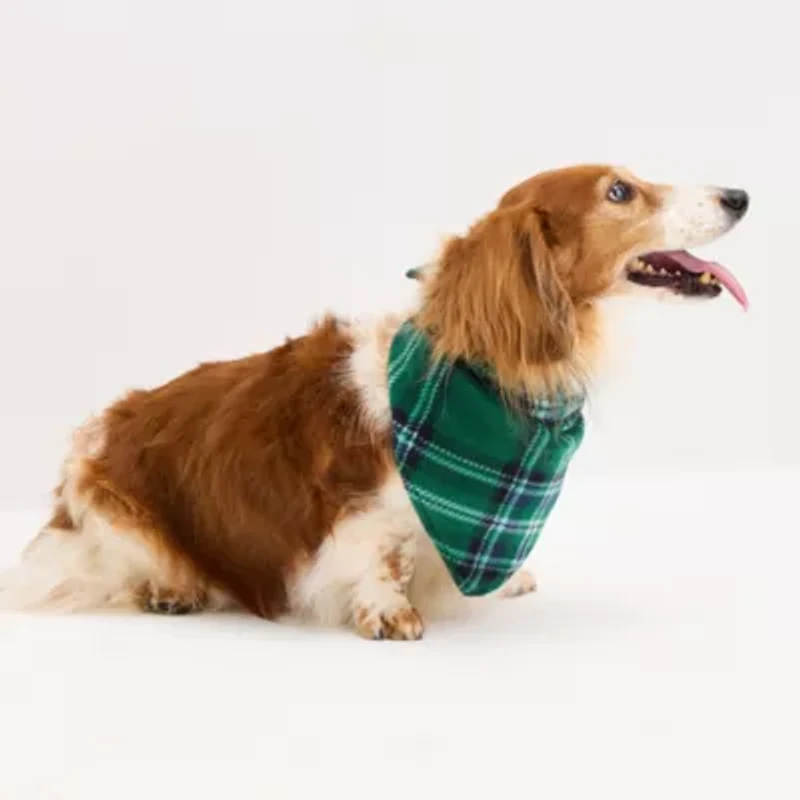 North Pole Trading Co. Sleigh Bells Ring Matching Family Dog Bandana
