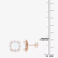 Yes, Please! Lab Created Opal 14K Rose Gold Over Silver 10.5mm Stud Earrings