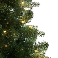 Kurt Adler Led Studio 7 Foot Pre-Lit Spruce Christmas Tree