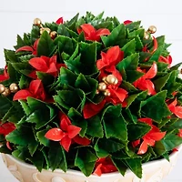 Nearly Natural Artificial Plant