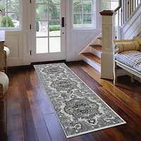 Amer Rugs Alexandria AE Indoor Rectangular Runner