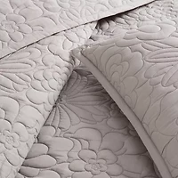 Forever 21 Floral Quilt Set