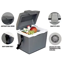 Koolatron Traveller III P9 Thermoelectric Iceless 12V Cooler Warmer 9L