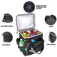 Koolatron Hybrid Portable 12V Cooler Bag