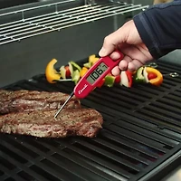 Escali Compact Folding Digital Thermometer