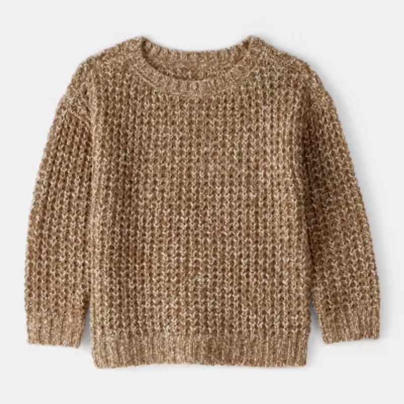 Carter's Toddler Boys Round Neck Long Sleeve Pullover Sweater