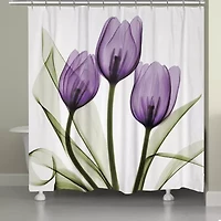 Laural Home Purple X-Ray Tulips Shower Curtain