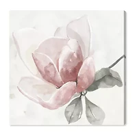 ART REMEDY® "Faded Blush Rose" Giclee Floral And Botanical Canvas Art