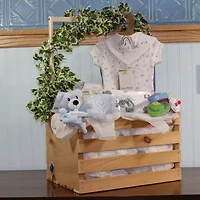 3 Stories Trading Company Baby Shower Wardrobe Gift Crate Boys 29-pc. Baby Gift Set