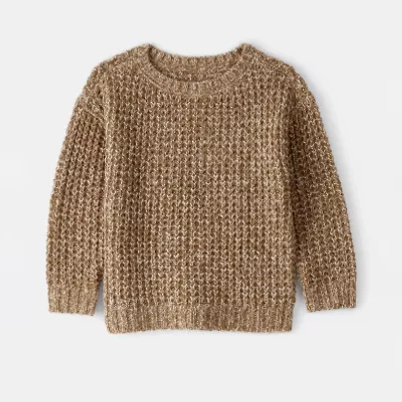 Carter's Toddler Boys Round Neck Long Sleeve Pullover Sweater