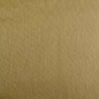 Sun Zero Evelina Faux Dupioni Silk Thermal Extreme Back Tab Energy Saving 100% Blackout Single Curtain Panel