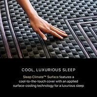 Beautyrest Black Series Two 13.5" Hybrid Plush Tight Top - Mattress Only