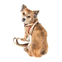 Pet Life Luxe 'Dapperbone' 2-In-1 Mesh Reversed Adjustable-Leash W/ Fashion Bowtie Dog Harness