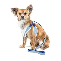 Pet Life Luxe 'Spawling' 2-In-1 Mesh Reversed Adjustable-Leash W/ Fashion Bowtie Dog Harness