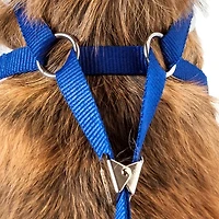 Pet Life Luxe 'Spawling' 2-In-1 Mesh Reversed Adjustable-Leash W/ Fashion Bowtie Dog Harness