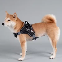 Dog Helios Scorpion' Sporty High-Performance Free-Range Harness