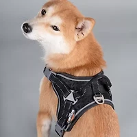 Dog Helios Scorpion' Sporty High-Performance Free-Range Harness