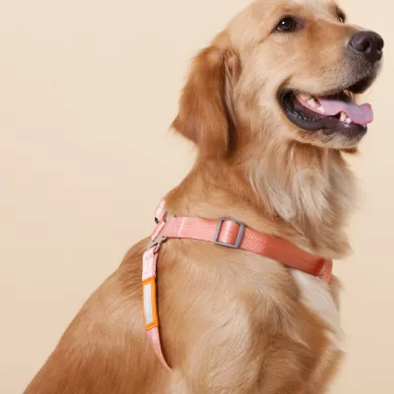 Touchdog Macaron' 2-In-1 Durable Nylon Leash Dog Harness