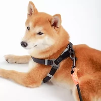 Touchdog Macaron' 2-In-1 Durable Nylon Leash Dog Harness