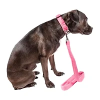 Pet Life Aero Mesh' 2-In-1 Dual Sided Comfortable And Breathable Adjustable Mesh-Collar Dog Leash