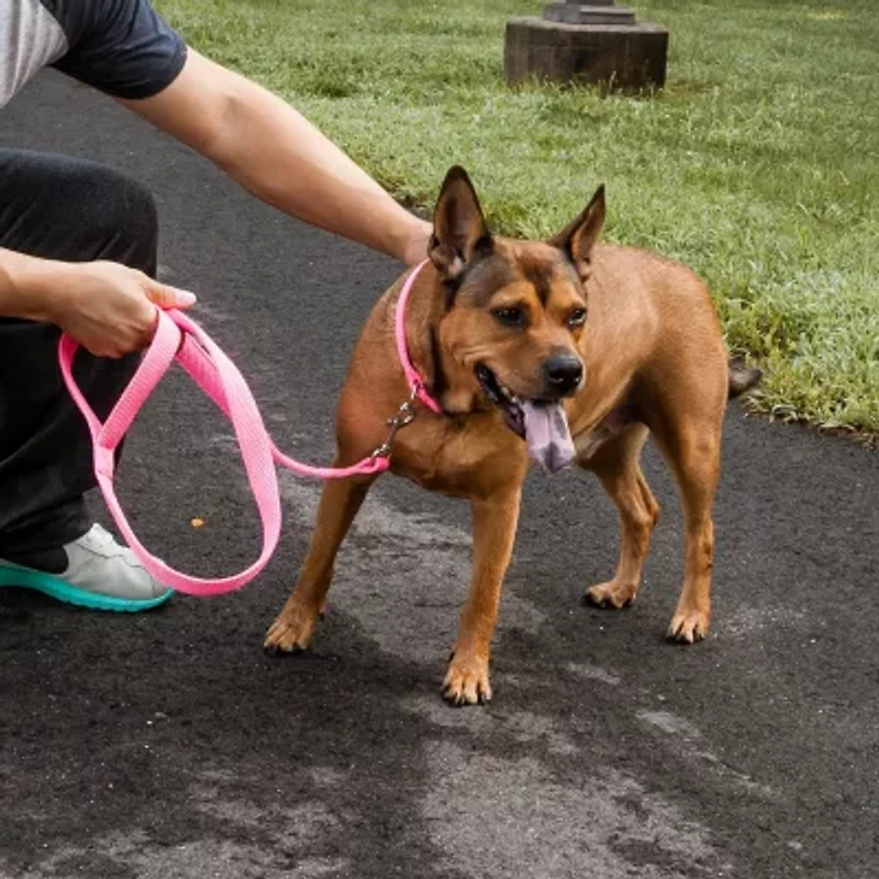 Pet Life Aero Mesh' 2-In-1 Dual Sided Comfortable And Breathable Adjustable Mesh-Collar Dog Leash