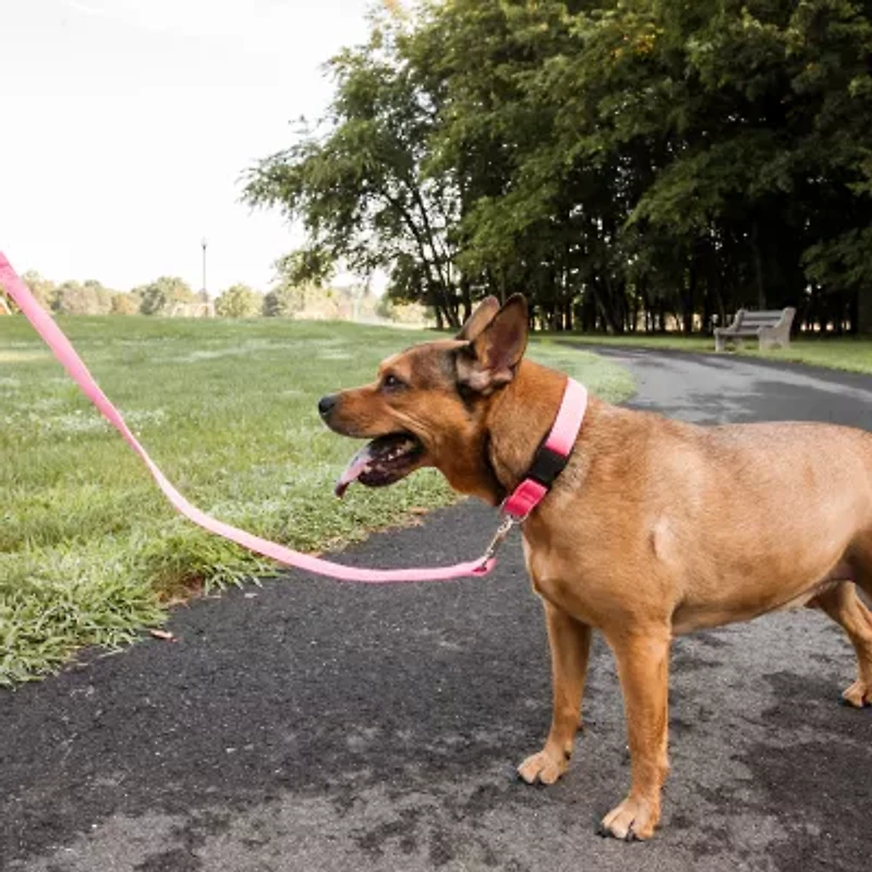 Pet Life Aero Mesh' 2-In-1 Dual Sided Comfortable And Breathable Adjustable Mesh-Collar Dog Leash