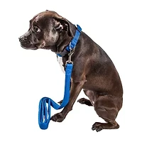 Pet Life Aero Mesh' 2-In-1 Dual Sided Comfortable And Breathable Adjustable Mesh-Collar Dog Leash