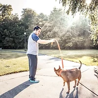 Pet Life Aero Mesh 2-In-1 Dual Sided Comfortable And Breathable Adjustable Mesh-Collar Dog Leash