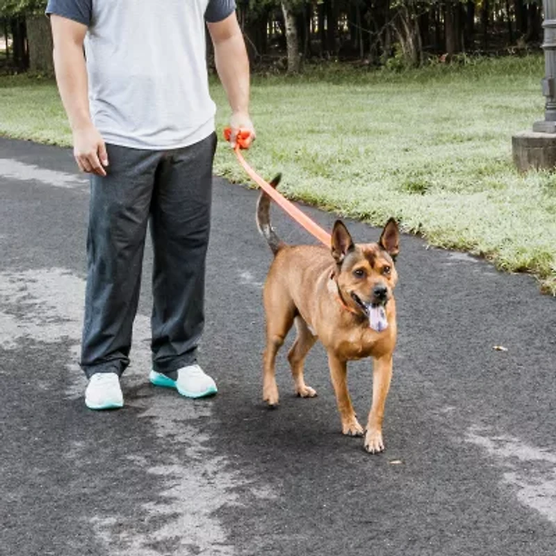 Pet Life Aero Mesh 2-In-1 Dual Sided Comfortable And Breathable Adjustable Mesh-Collar Dog Leash