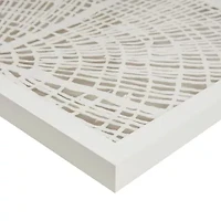 Madison Park 31.25 Solana Coastal Rice Shadow Box Art