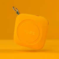 Polaroid P1 Portable Bluetooth Music Portable Speaker