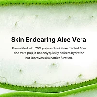 By Wishtrend Blue Oasis Aloe Hydrating Serum