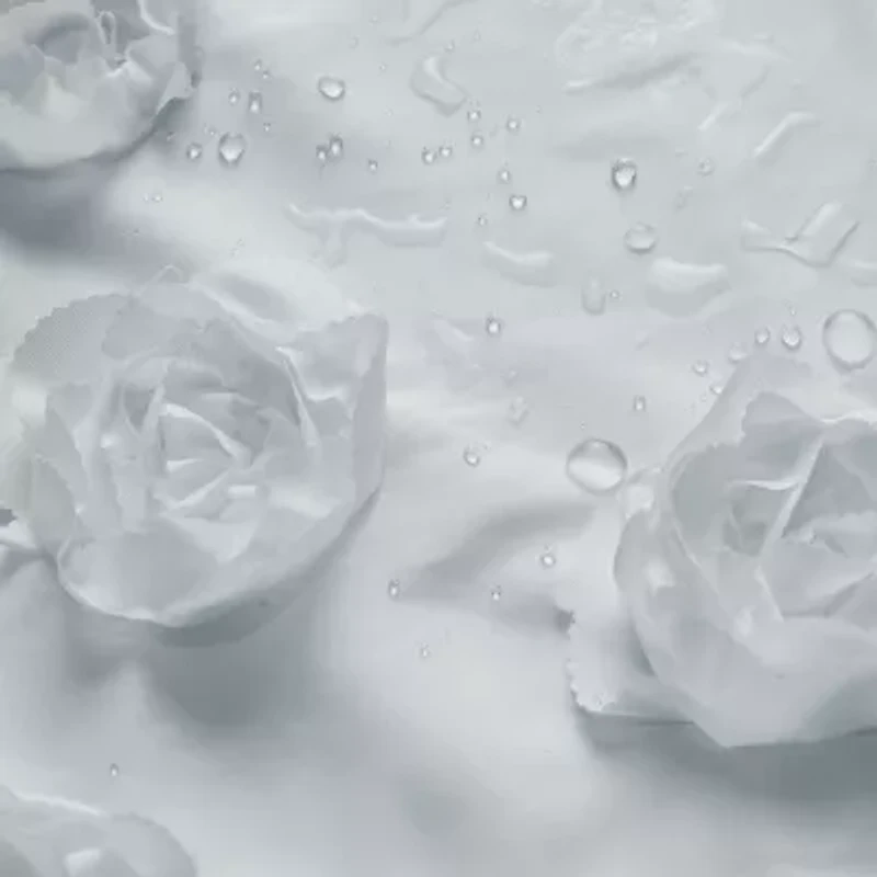 Awesome Home™ Floral Ruffle Shower Curtain