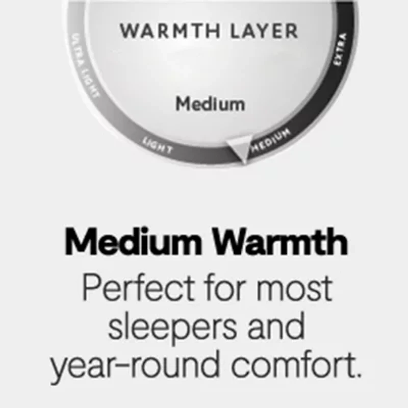 Martha Stewart Cloud Support All Seasons Warmth Down Alternative Comforter