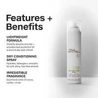 Paul Mitchell Dry Conditioner Spray Dry Conditioner