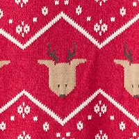 Carter's Little & Big Kid Boys Holiday Round Neck Long Sleeve Pullover Sweater