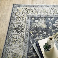 Covington Home Chelsea Vintage Traditional Washable Indoor Rectangular Area Rug