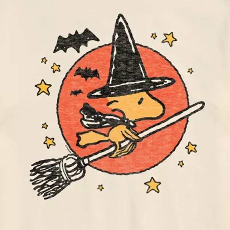 Mens Short Sleeve Peanuts Halloween Graphic T-Shirt