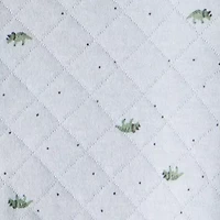 Carter's Boys Long Sleeve Pram