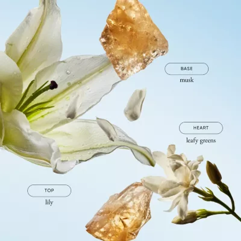 Philosophy Pure Grace Shower Gel 16floz