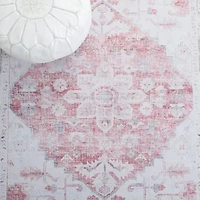 Safavieh Tucson Zara Indoor Rectangular Area Rug