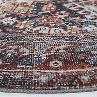 Safavieh Tucson May Indoor Round Area Rug