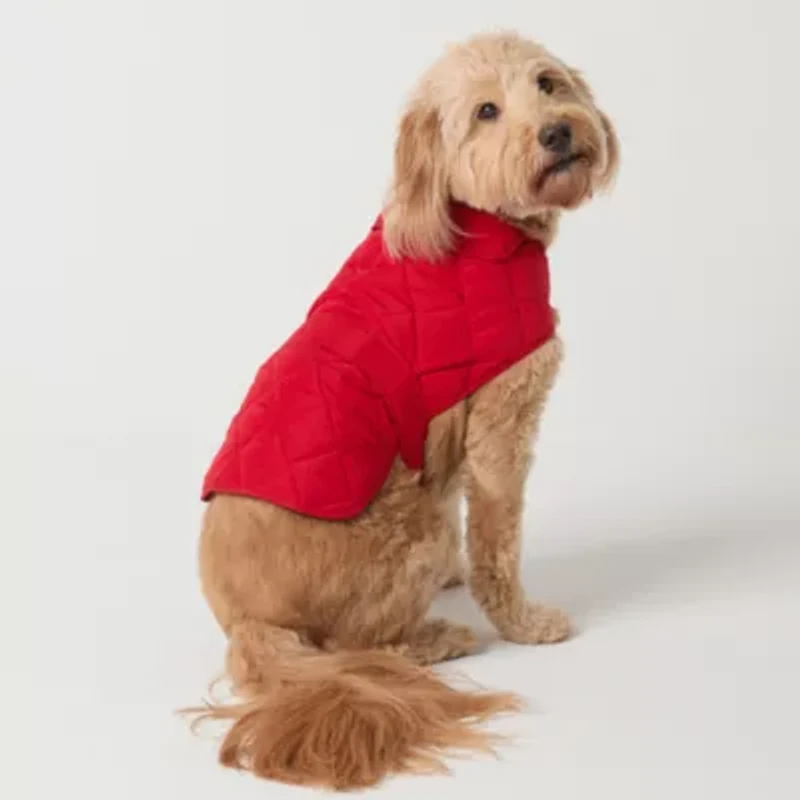 St. Johns Bark Dog Coat