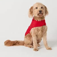 St. Johns Bark Dog Coat