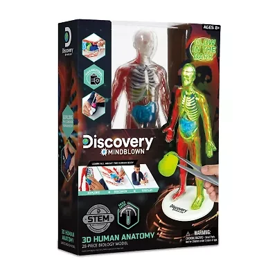 Discovery™ #Mindblown 3D Human Anatomy 28-Piece Biology Model