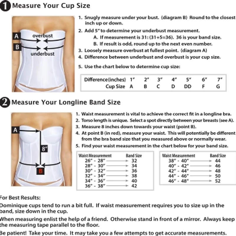 Dominique Paige Underwire Bustier 8500