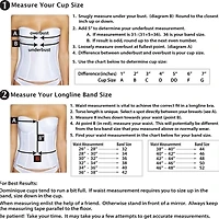 Dominique Ariel Underwire Bustier 8541