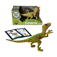 Jay at Play® Ar Dino Explorer Combo 2-pc. Toy Playset